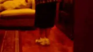 LEVITATION
