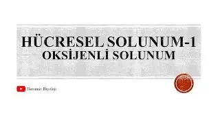 12.Sınıf Hücresel Solunum-Oksijenli Solunum