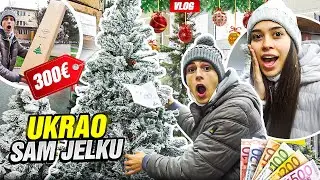 UKRAO SAM NOVOGODISNJU JELKU KOD KINEZA !