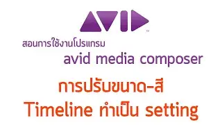 AVID MediaComposer การปรับขนาด สี Timeline ทำเป็น setting