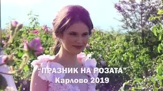 PR2019 BGrose BNT 1