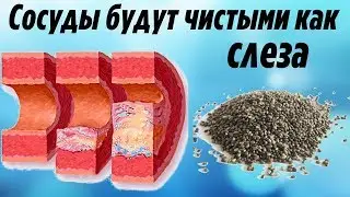 СОСУДЫ и АРТЕРИИ будут как СЛЕЗА Вот Что нужно ЕСТЬ Каждый день чтобы не возник АТЕРОСКЛЕРОЗ