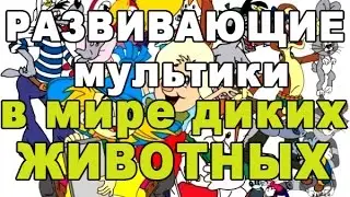 В мире диких животных