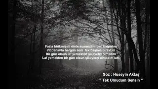 Hüseyin Aktaş  -  Tek Umudum Sensin (2016)
