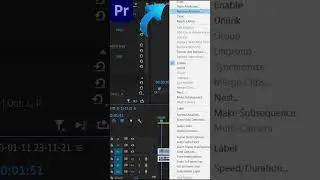 Add the same effect to MULTIPLE clips in Premiere Pro 
