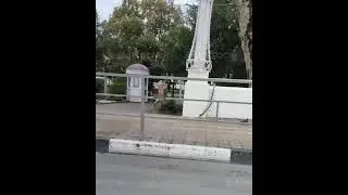 “В чём мать родила”: Голый мужчина разгуливал по центру Сочи