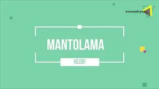 DIŞ CEPHE MANTOLAMA Nasıl Yapılır ? UzmanDeposu