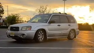 IMPORT EXPO MAYHEM