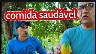 comida saudável