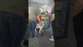 Самые топовые места Вероны.