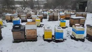 СРОЧНО!!! ПРОДАМ ВСЕ!!! БАКФАСТ!!! т.  ( ВАЙБЕР, ТЕЛЕГРАМ  0973215016)