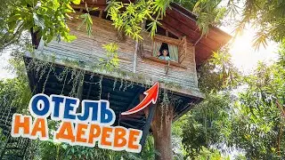 48 часов в ДОМЕ на ДЕРЕВЕ! Обзор отеля с ГИГАНТСКИМИ домами на дереве на Бали