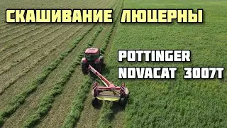 Скашивание люцерны 2021/Скошування люцерни Pottinger Novacat 3007T [4K]