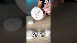 ¿Ya conoces la sirena de EZVIZ?