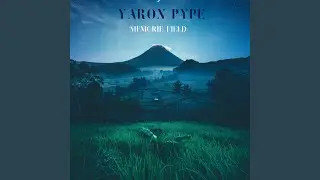 Memorie Field