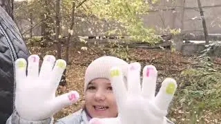 Пришлось сесть дома.