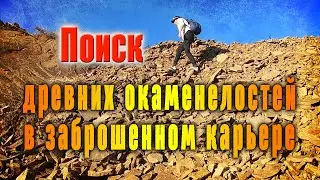 Поиск древних окаменелостей в карьере. Нашла много грибов и шиповника.