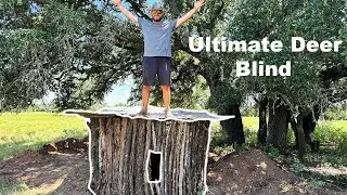 Building The ULTIMATE DEER BLIND