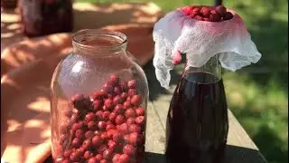 🍒 ВИШНЕВА НАЛИВКА. Домашня настойка із вишні на горілці 🍷