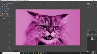 How to Add a Color Filter to an Image