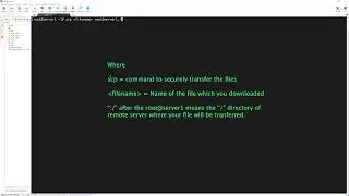 15   download and transfer VCS Software