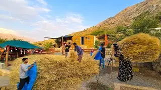 Completing Milad & Mahin's House Roof and Harvesting Wheat with Amir's Family