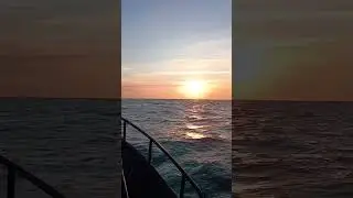 Я ВИДЕЛ СОЛНЦЕ! @МНОГО РАЗ@
