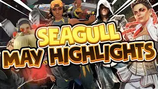 SEAGULL MAY STREAM HIGHLIGHTS