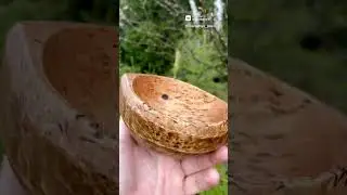 Кукса из карельской березы
