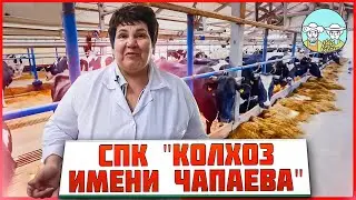 Проект КРМЗ «Кадры решают всё». Лучшие животноводческие хозяйства России. Ч.1.