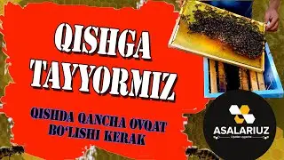 Qishga tayyormiz!!! Asalarilar ovqati zahirasi