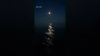 Ночное море и лунная дорожка м-м-м 🤗🤗🤗 