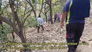 la leña en Salinas