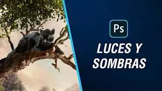 Luces y sombras Adobe Photoshop 🔥 🤯🤯. Dale ese toque realista a tus composiciones
