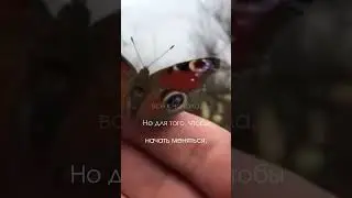 Кацудзо Ниши. Совет дня. 15 апреля 2023