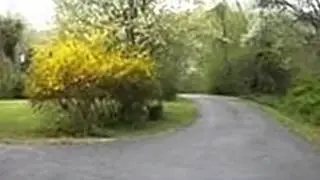 3187.mp4