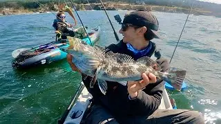 Camp, Catch, Cook, Rockfish Extravaganza