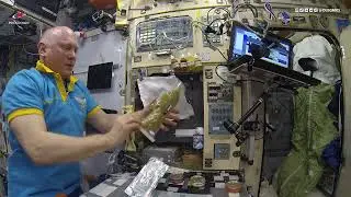 How to cook Fish Soup in Space? //Space food//