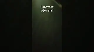31 августа 2024 г.
