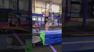 Level 3 Vault Circuit