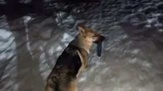 День 20 обрешетка вент зазор