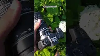 макросъёмка в саду