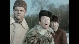 Обрили уже 😹классика