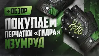 Обзор ★ Перчатки «Гидра»: Изумруд | Где купить дёшево