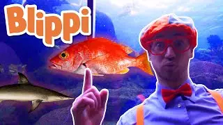 Blippi | Blippi Visits The Aquarium and MORE! | Explore with Blippi |  Educational Videos for Kids