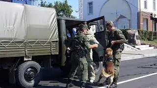 День города Мамоново 2019