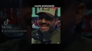 coyote produciendo
