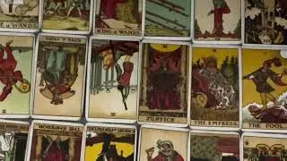 LEO ♌️ MOSES IS GUIDING YOU INTO THE SPOTLIGHT… #leocollective #leo #leospiritualguidance #leotarot