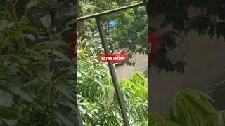 Rainy season Mumbai kya hua #mumbai  #india