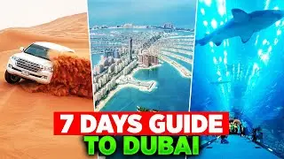 7 Days Guide When Visiting Dubai